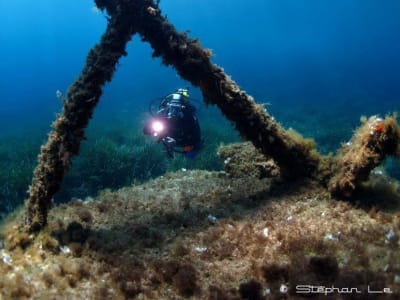 Buceo de exploración en Calvi, Córcega