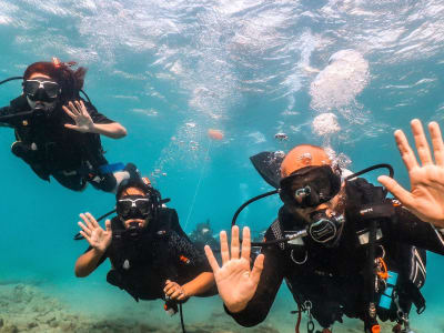 Intro Scuba Diving Session from Mylopotas, Ios