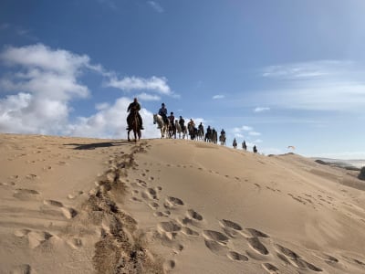 Horseback Riding on the Beach in Agadir or Taghazout