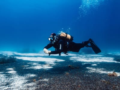 Entdecken Sie das Tauchen in Cala Galdana, Menorca