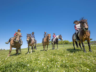 Horse riding in Labretonie near Bordeaux