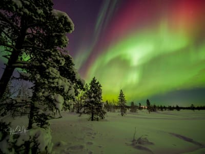 Persecución de auroras boreales en minivan desde Kiruna