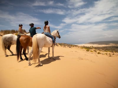 Reiten von Carrapateira, in der Nähe von Sagres, Algarve