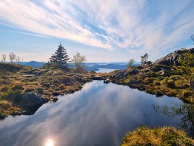 Wanderausflug auf den Berg Fløyen in Bergen