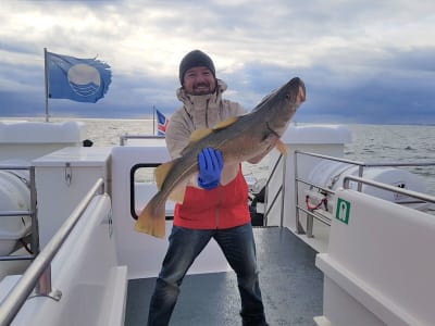 Pêche à la ligne en mer au départ de Reykjavik