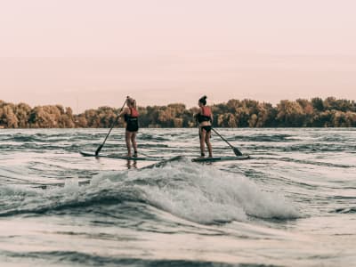 Discover stand up paddle boarding in Montreal on the Saint Lawrence River