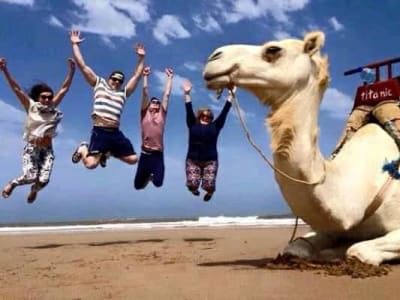 Excursión guiada a lomos de camello por las dunas y playas de Essaouria (Marruecos) 