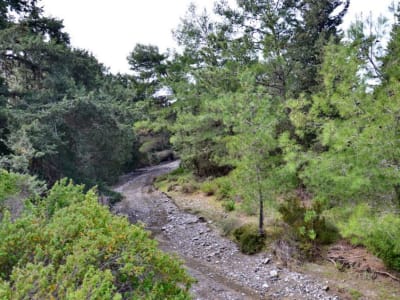 Hiking Tour of Tsambika Hill in Rhodes