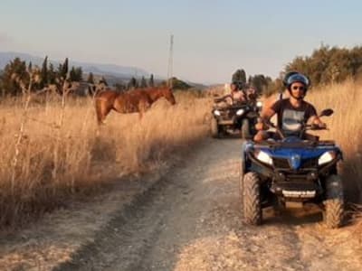 3-stündige Quad-Safari durch den Wald zum Diga Castello in Agrigento, Sizilien