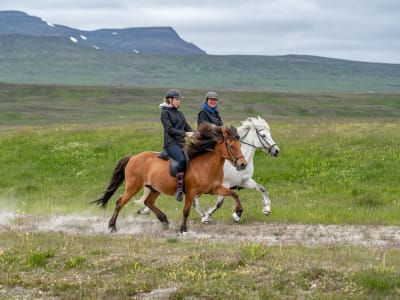 Private Horseback Riding Tour in Varmahlid, Iceland