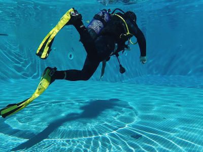 Buceo Cursos PADI en Machico, Madeira