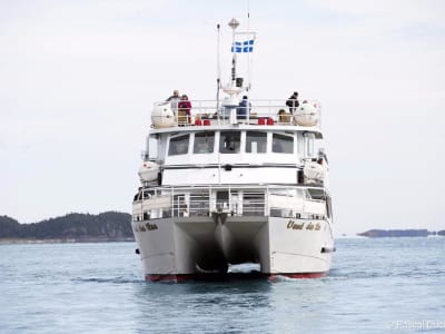 Boat Tour in the Isle-aux-Grues Archipelago from Berthier-sur-Mer, Quebec