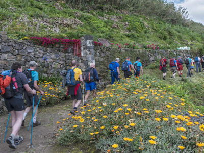 Guided Hike Tour of Ribeira Funda near Maia, São Miguel