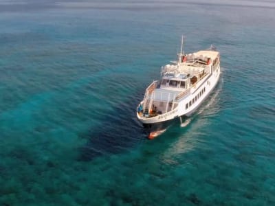 Excursion en bateau de Ierapetra à l'île de Chrissi, Crète