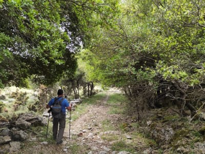 Geführte Wanderung zum Gipfel des Berges Karfi bei Heraklion