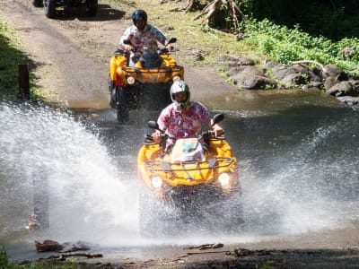 Quad-Touren zum Vaihiria-See auf Tahiti