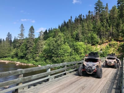 Buggy-Ausflug in Charlevoix mit Abfahrt in La Malbaie