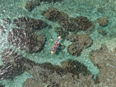 Sea transparent kayaking in the lagoon of Saint-Gilles, Reunion Island