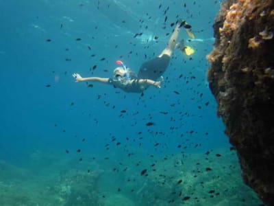 Excursion de plongée en apnée à partir de la plage de Santa Barbara à Corfou