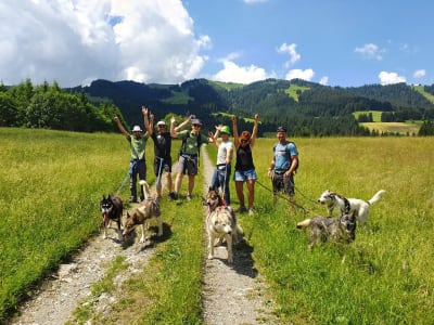 Excursión con trineo de perros en Praz-sur-Arly, cerca de Megève