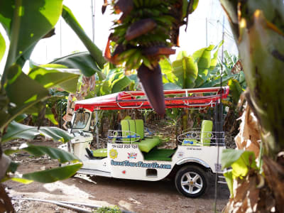 Geheime Vulkan Tuk Tuk Tour entlang der Costa Adeje, auf Teneriffa
