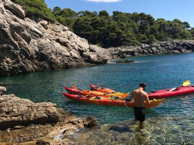 Excursion en kayak de mer dans les îles de Dubrovnik