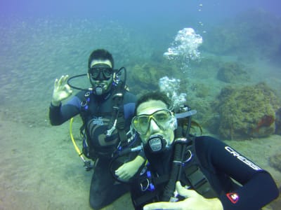 Plongée sous-marine depuis un bateau avec des tortues de mer et des raies manta, près de Las Galletas