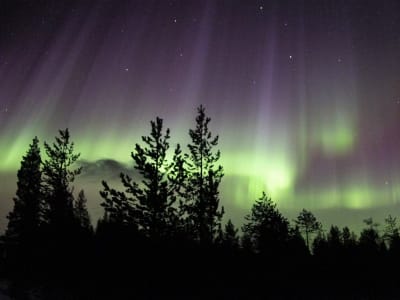 Snowshoeing beneath the Northern Lights in Pyhä