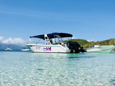 Balade en bateau et snorkeling aux Saintes au départ de Terre-de-Haut, Guadeloupe