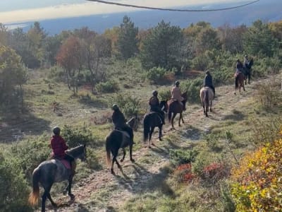 Guided horseback ride in Labin near Rijeka