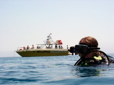 Excursion d'une demi-journée en bateau avec tuba dans le sud de Zante, au départ de Laganas