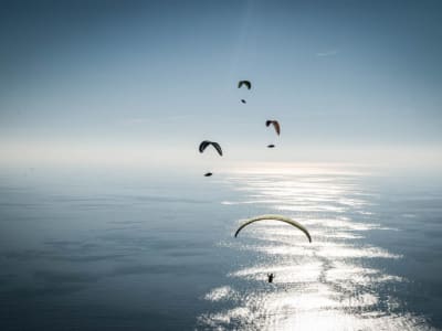 Paragliding in Cinque Terre