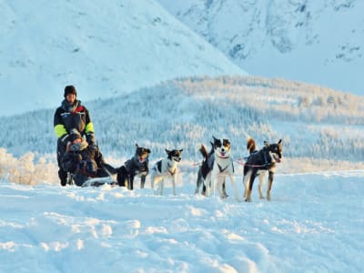 Selbstfahrer-Hundeschlittenfahrt in der Nähe der Lyngen-Alpen von Tromsø aus