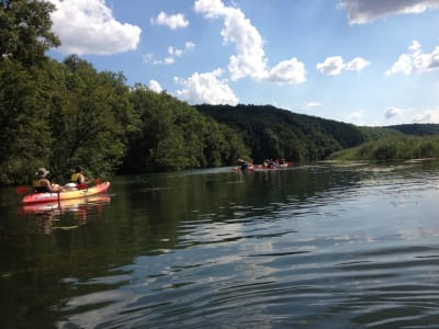 Alquilar un kayak o una canoa en el río Ródano, cerca de Ginebra