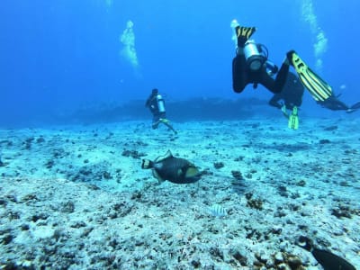 Double plongée exploration dans la passe de Tikehau