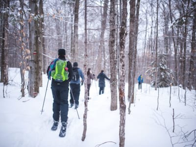 Discover ski-shoeing in Jacques Cartier National Park from Quebec City