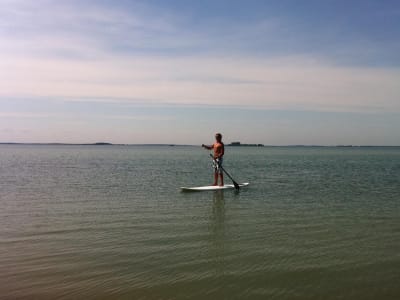 Stand-Up-Paddle-Verleih auf dem Lac du Der