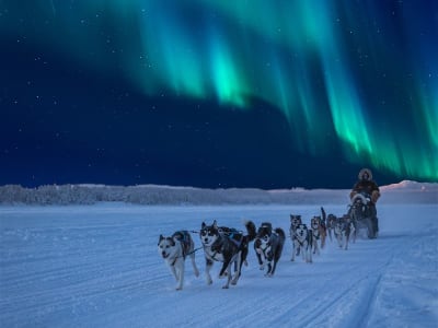 Trineo tirado por perros con experiencia de aurora boreal en Gratangen, cerca de Narvik