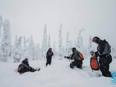 Excursion en raquettes dans la nature sauvage de Laponie au départ de Rovaniemi