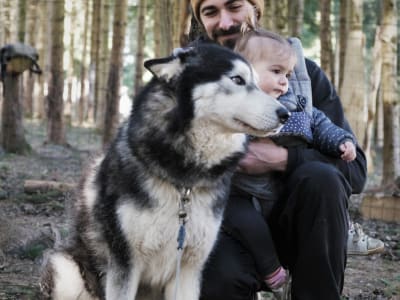 Entdeckung von Schlittenhunden in Avajan, in der Nähe von Loudenvielle in den Pyrenäen