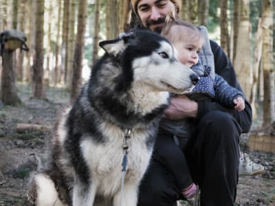 Descubrimiento de perros de trineo en Avajan, cerca de Loudenvielle, en los Pirineos