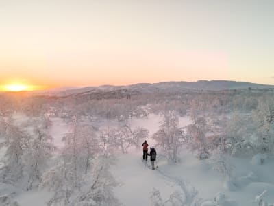 Randonnée à ski dans l'Arctique depuis Muotkan Ruoktu près d'Inari