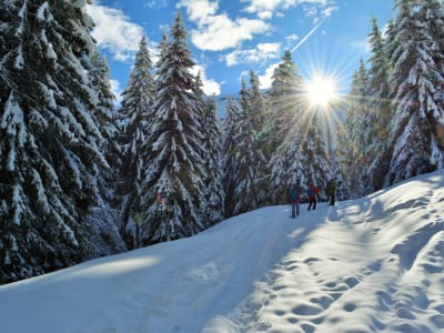 Schneeschuhwanderung in Morzine, Portes du Soleil