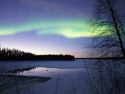 Expérience des aurores boréales en Laponie finlandaise