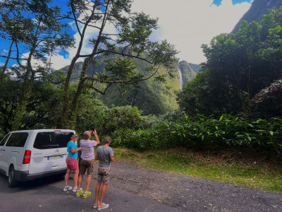 Excursión guiada en furgoneta al Circo de Salazie, Isla Reunión