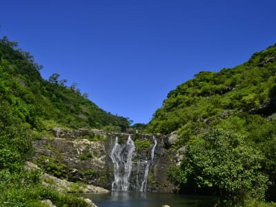 Day trip to the 7 waterfalls of Tamarin on Mauritius