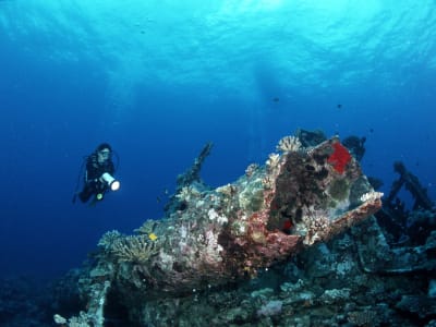 Medio día de inmersiones de aventura en Tahití