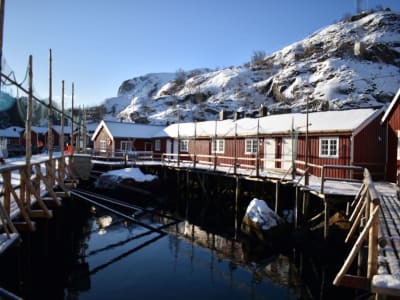 Excursión privada con raquetas de nieve en Lofoten