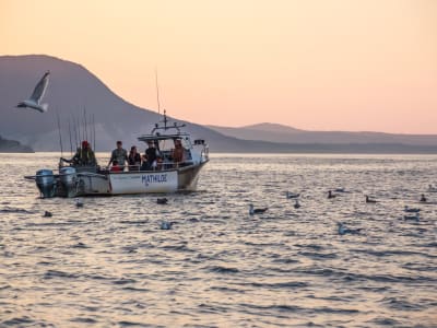 Cruise on the coast of the Forillon National Park in Gaspésie