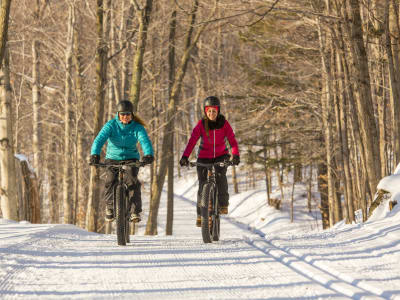 Alquiler de Fat Bike y raquetas de nieve en el parque de Mont-St-Bruno, Montreal